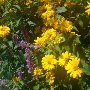 Meet your Posher, Kiara